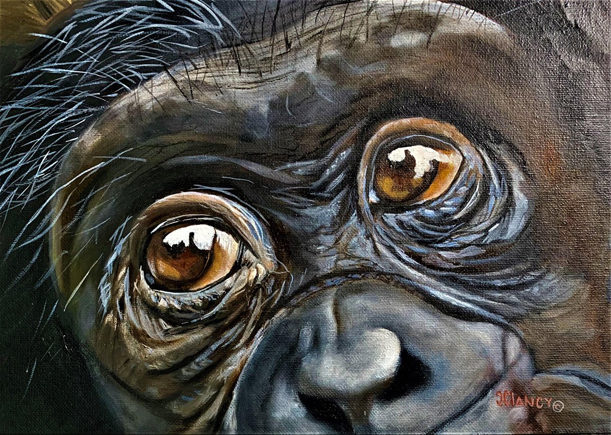Chimp Baby © 2022 Jody Goldman. All Rights Reserved.