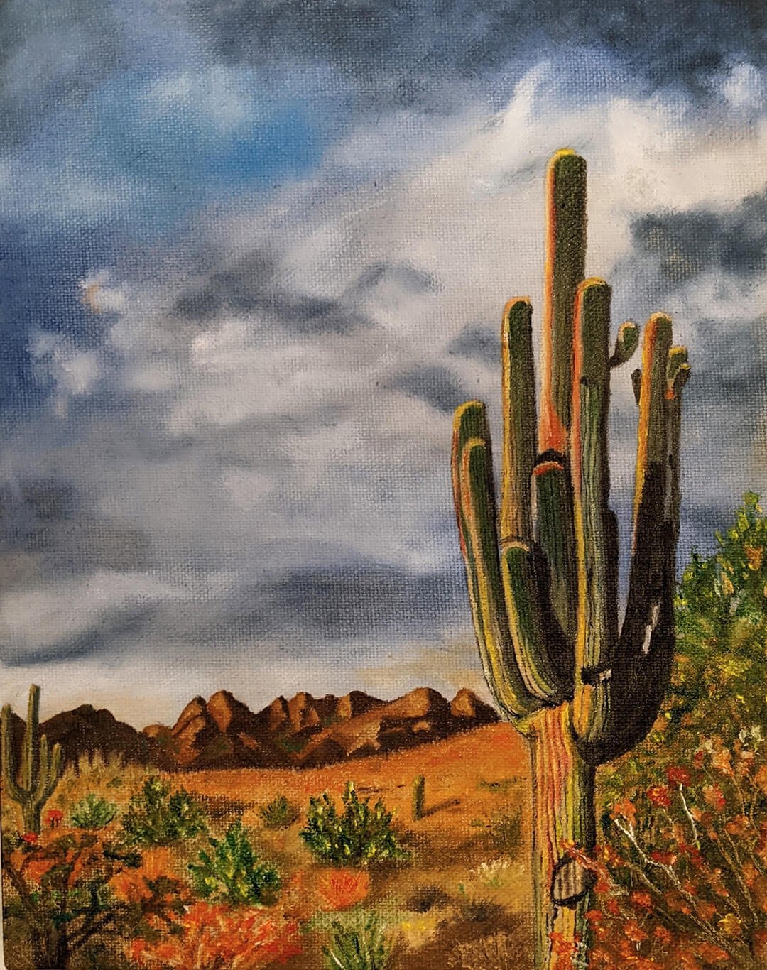 Sonoran Desert Sahuaro © 2023 Fawn Medesha. All Rights Reserved.