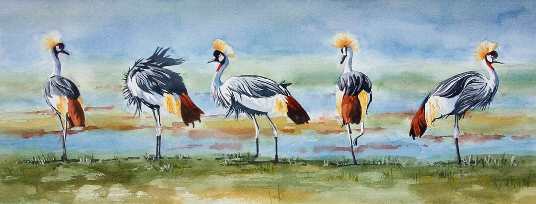African Crowned Cranes © 2023 Kendra Ferreira. All Rights Reserved.