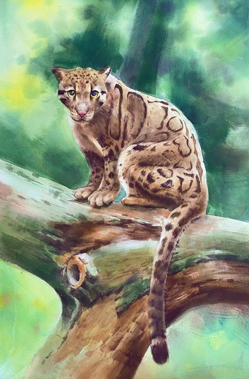 SUBMISSION: Clouded leopard © 2023 Ruoyu Wang — Art4Apes