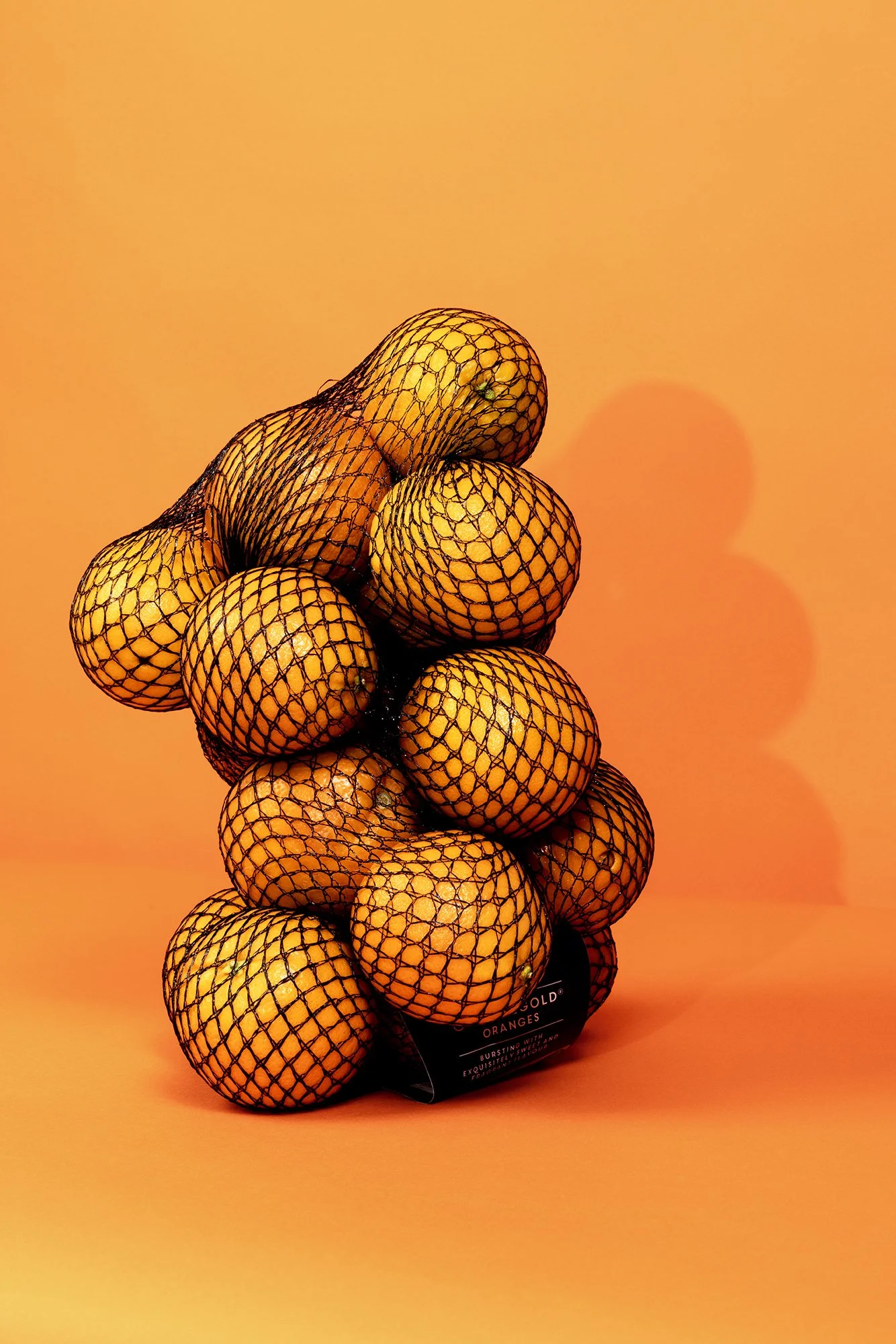 Wrapping up Nature a series of Still life objects from the natural world wrapped in single use plastic which will long survive its biodegradable contents. Climate emergency  photography