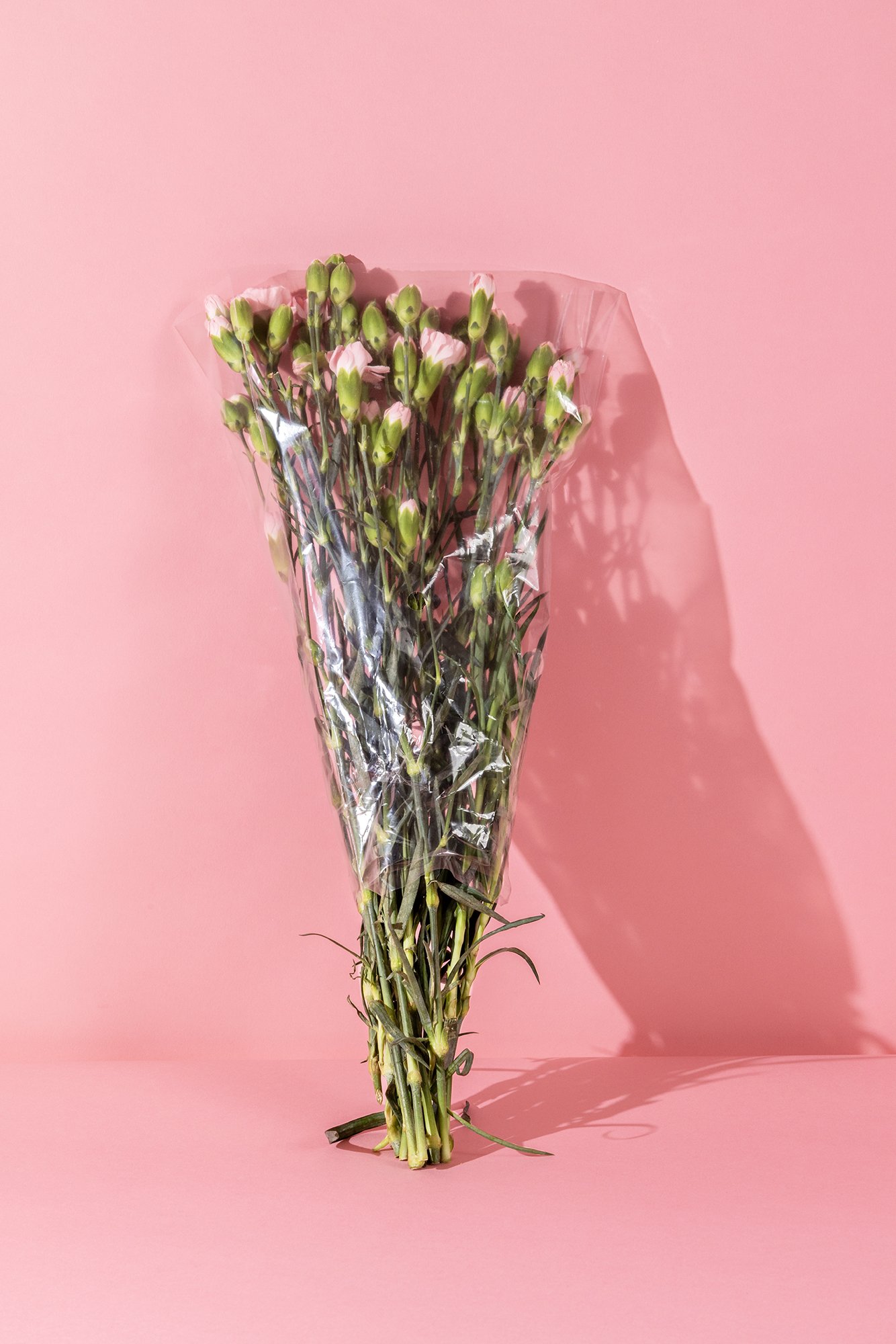 Wrapping up Nature a series of Still life objects from the natural world wrapped in single use plastic which will long survive its biodegradable contents. Climate emergency  photography