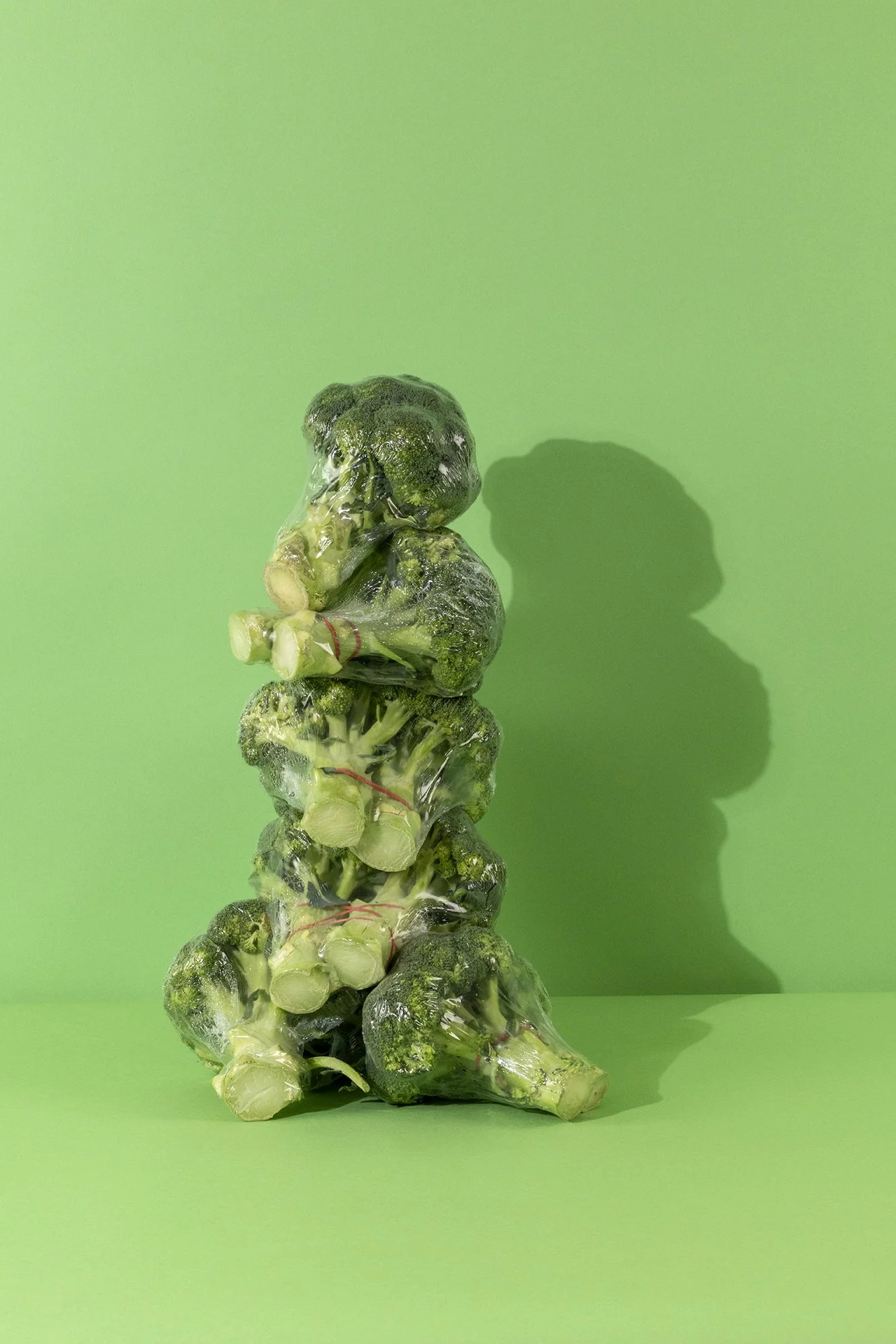 Wrapping up Nature a series of Still life objects from the natural world wrapped in single use plastic which will long survive its biodegradable contents. Climate emergency  photography