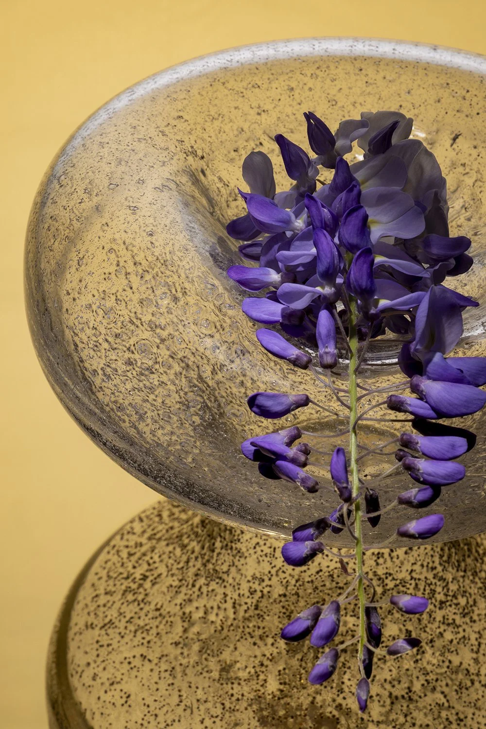 Studio shot of a Glass blown bowl on a gold perspex mirror by Studio Sahil