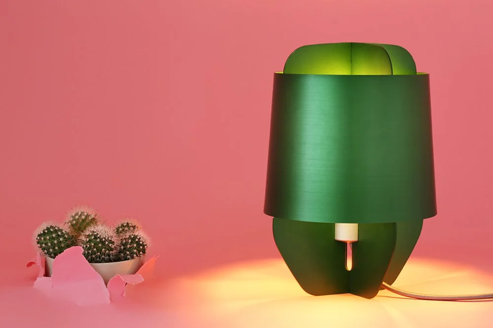 Studio shoot Carbon Light using Carnation pink paper backdrop to contrast with the green aluminium light, with the paper ripped on the right hand side and a Cactus bursting through.