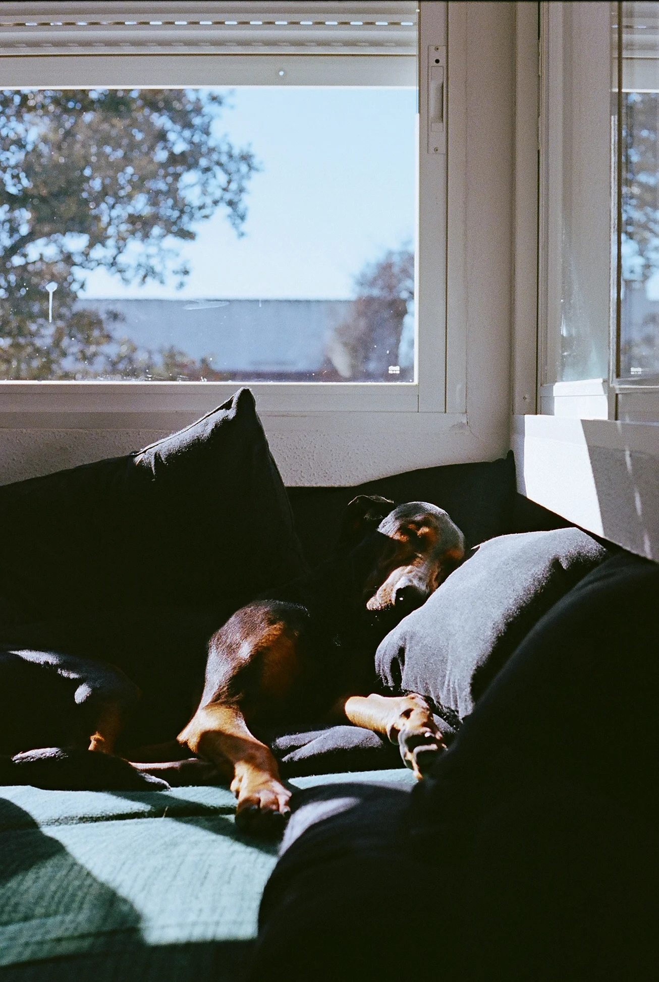 86140015-e.jpg