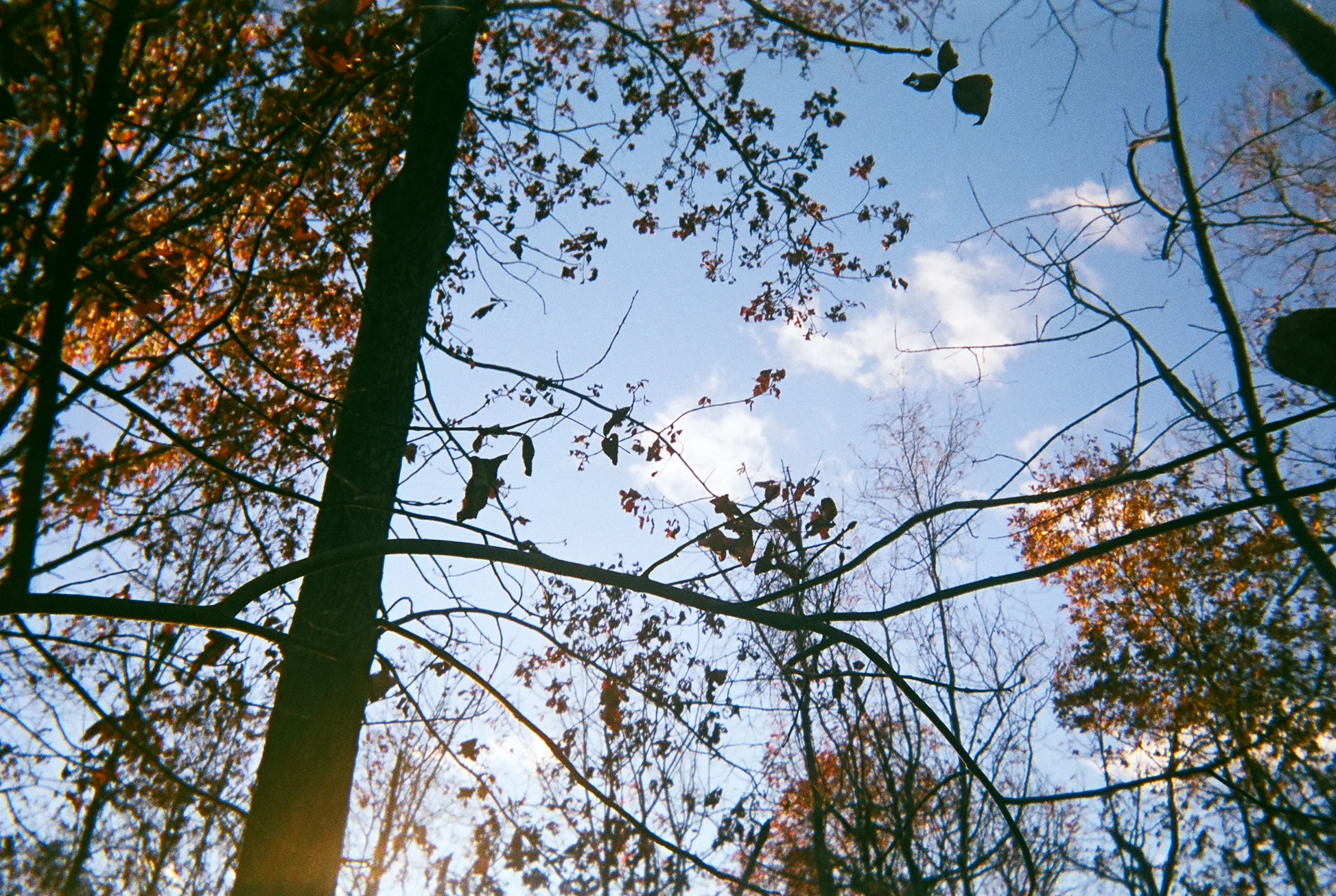 01500009-e.jpg