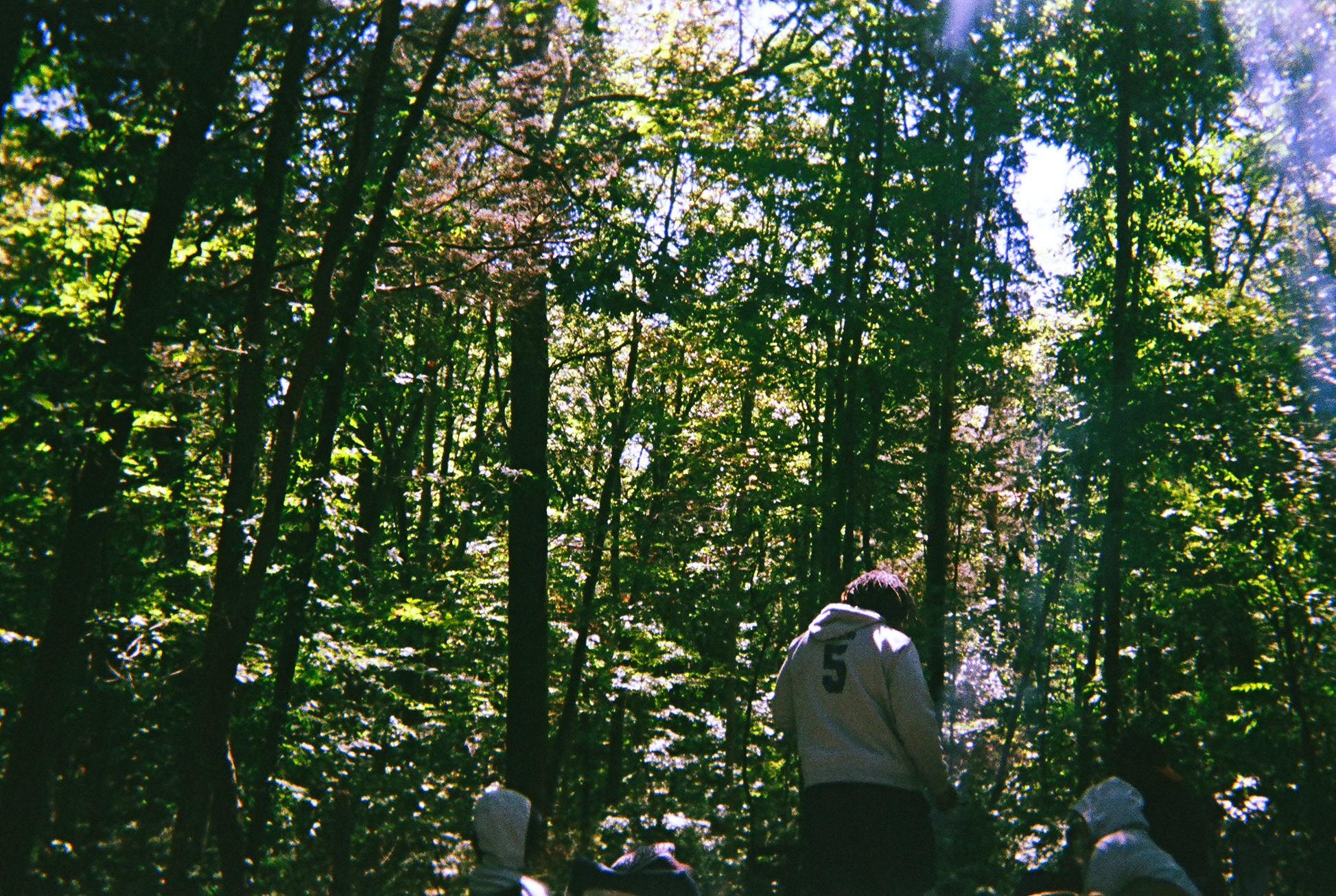 01500020-e.jpg