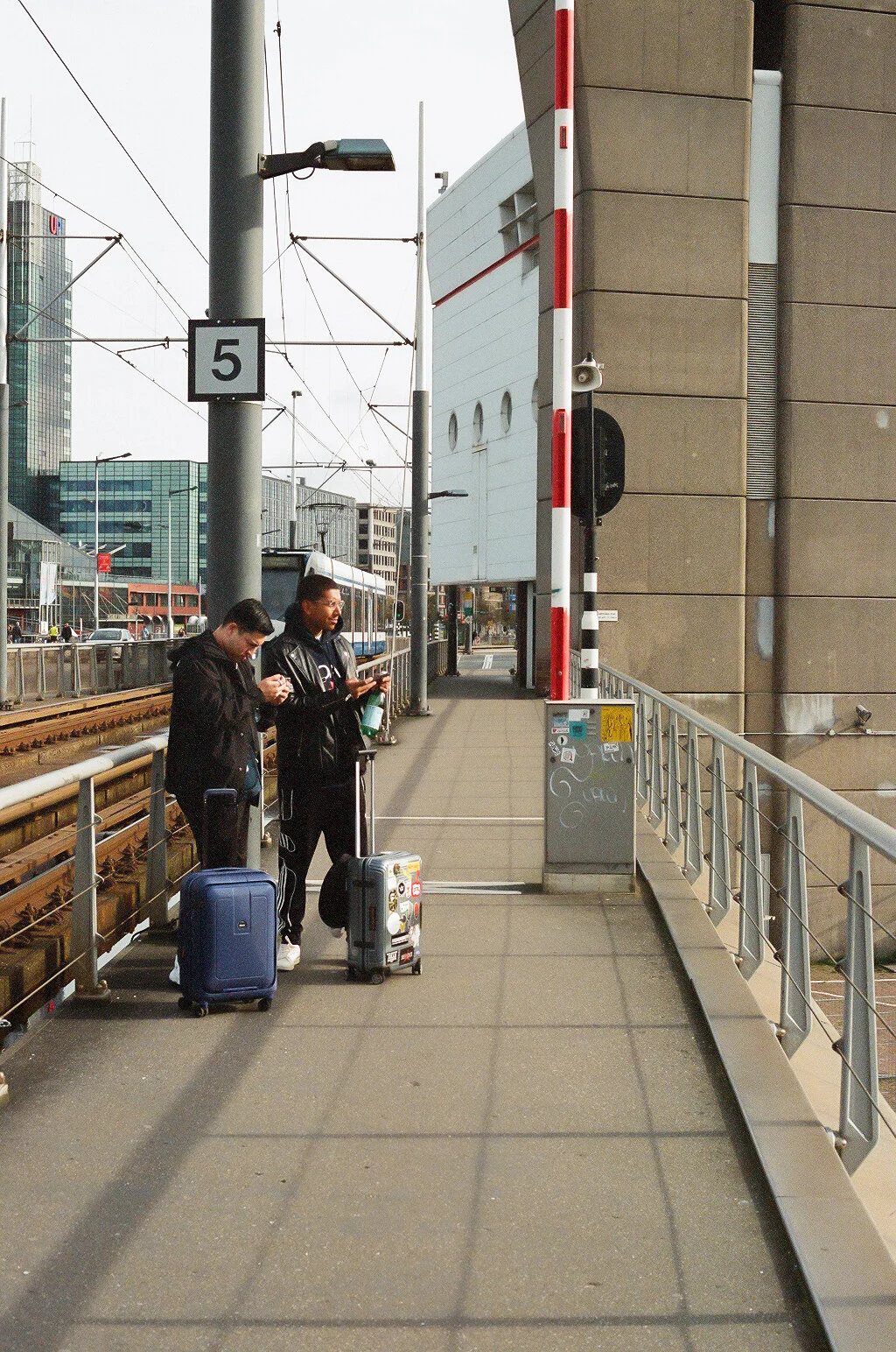 29290009-1.jpg