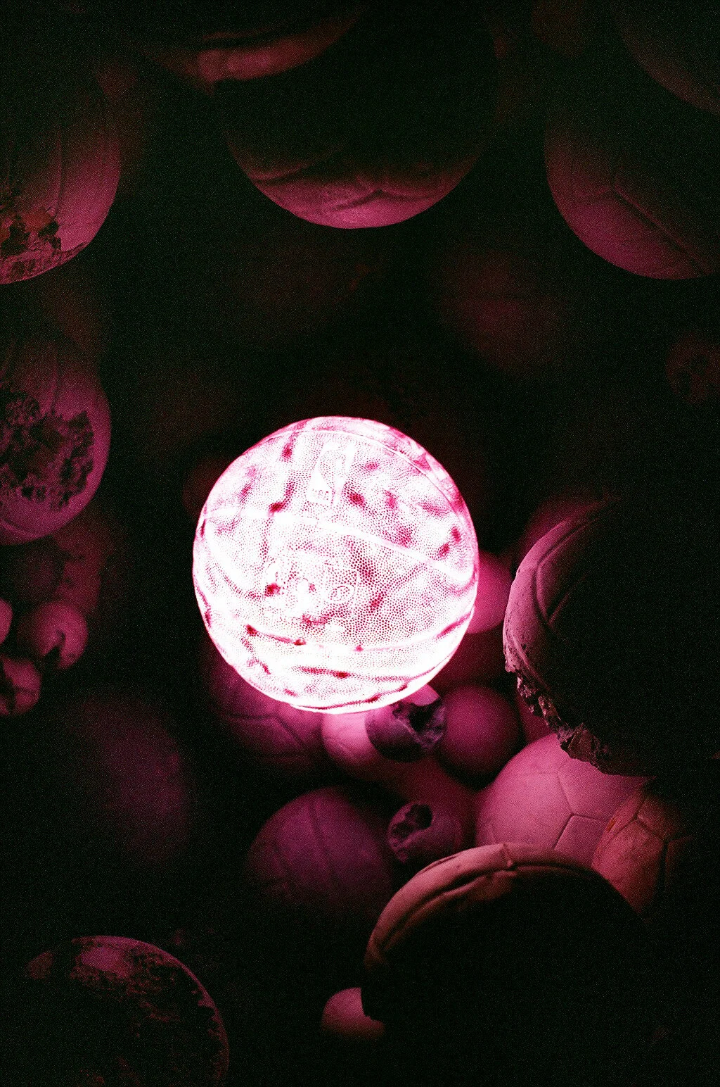 29290024-1.jpg