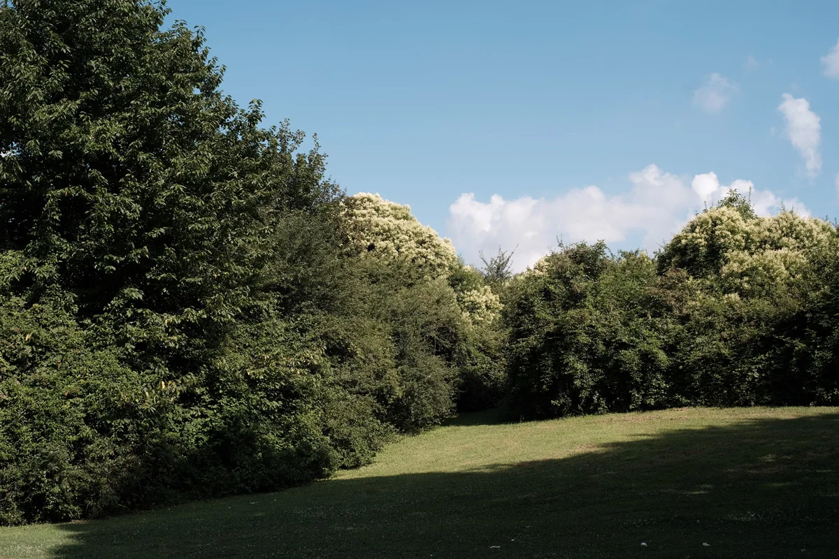 janot-seveso29-2018.jpg
