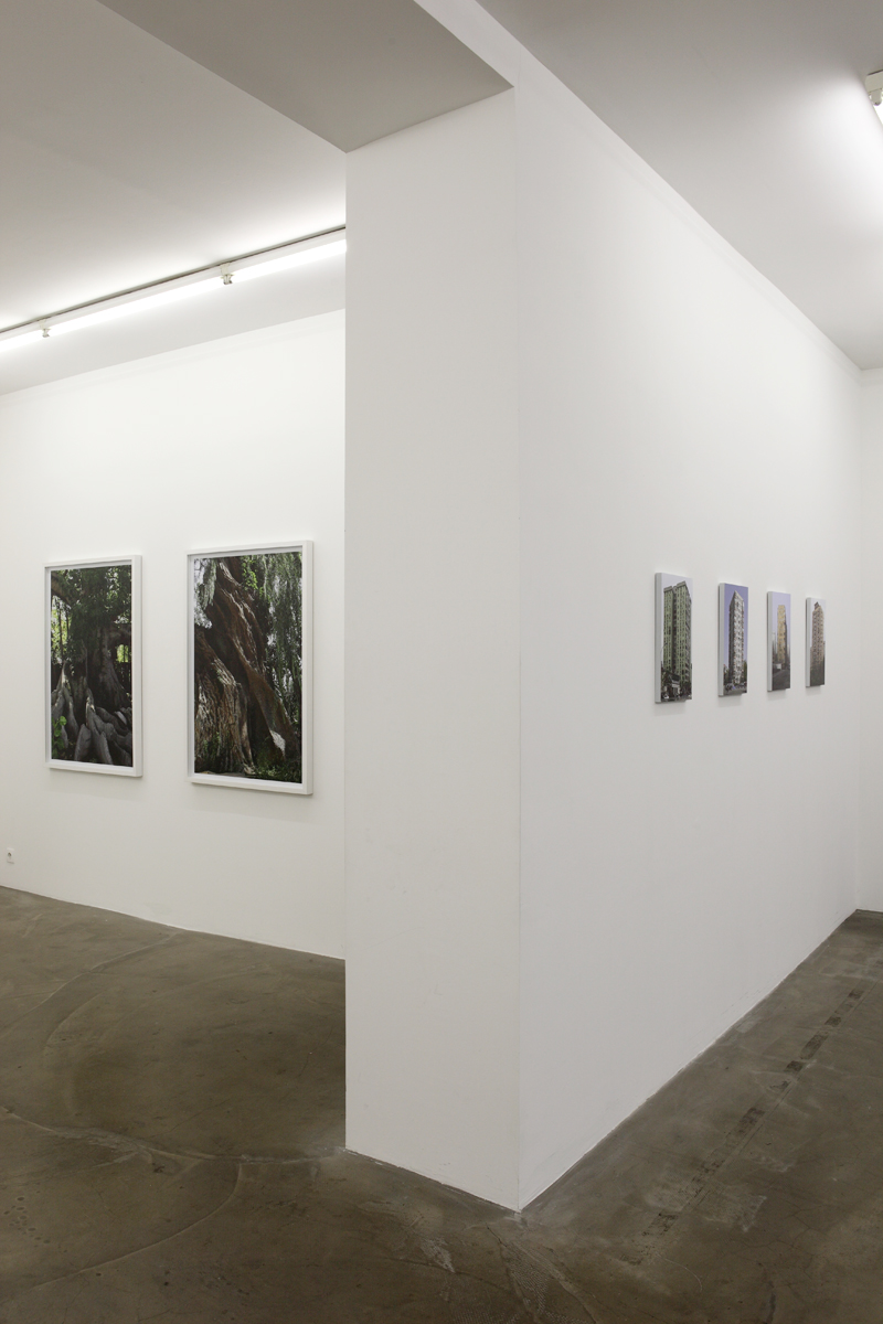 "Concrete/Buildings", galerie Alain Gutharc, Paris, 2013.