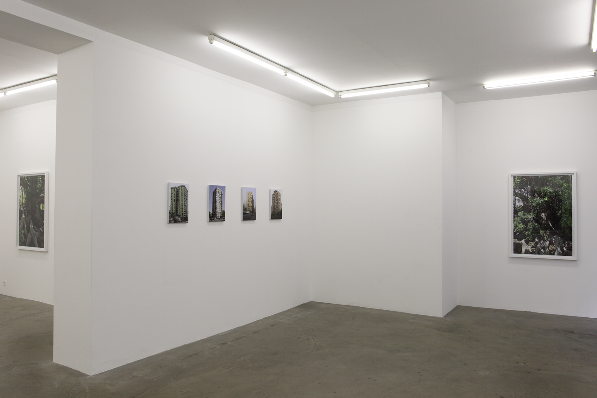 "Concrete/Buildings", galerie Alain Gutharc, Paris, 2013.