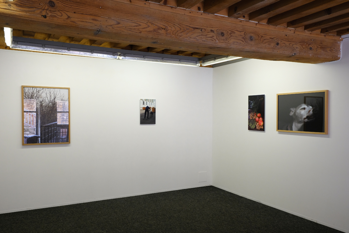 "Guillaume Janot, Pascal Poulain", galerie Le Bleu Du Ciel, Lyon, 2016.