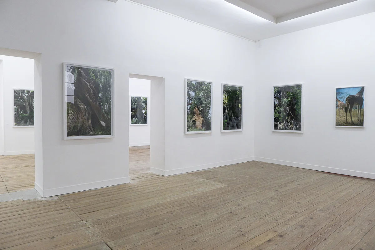 "Just Like Heaven", centre photographique, Lectoure, 2012.