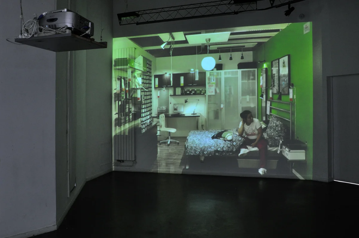 “Paysages déplacés / Displaced Landscapes”, Ecole des Beaux-arts, Le Mans, 2011.