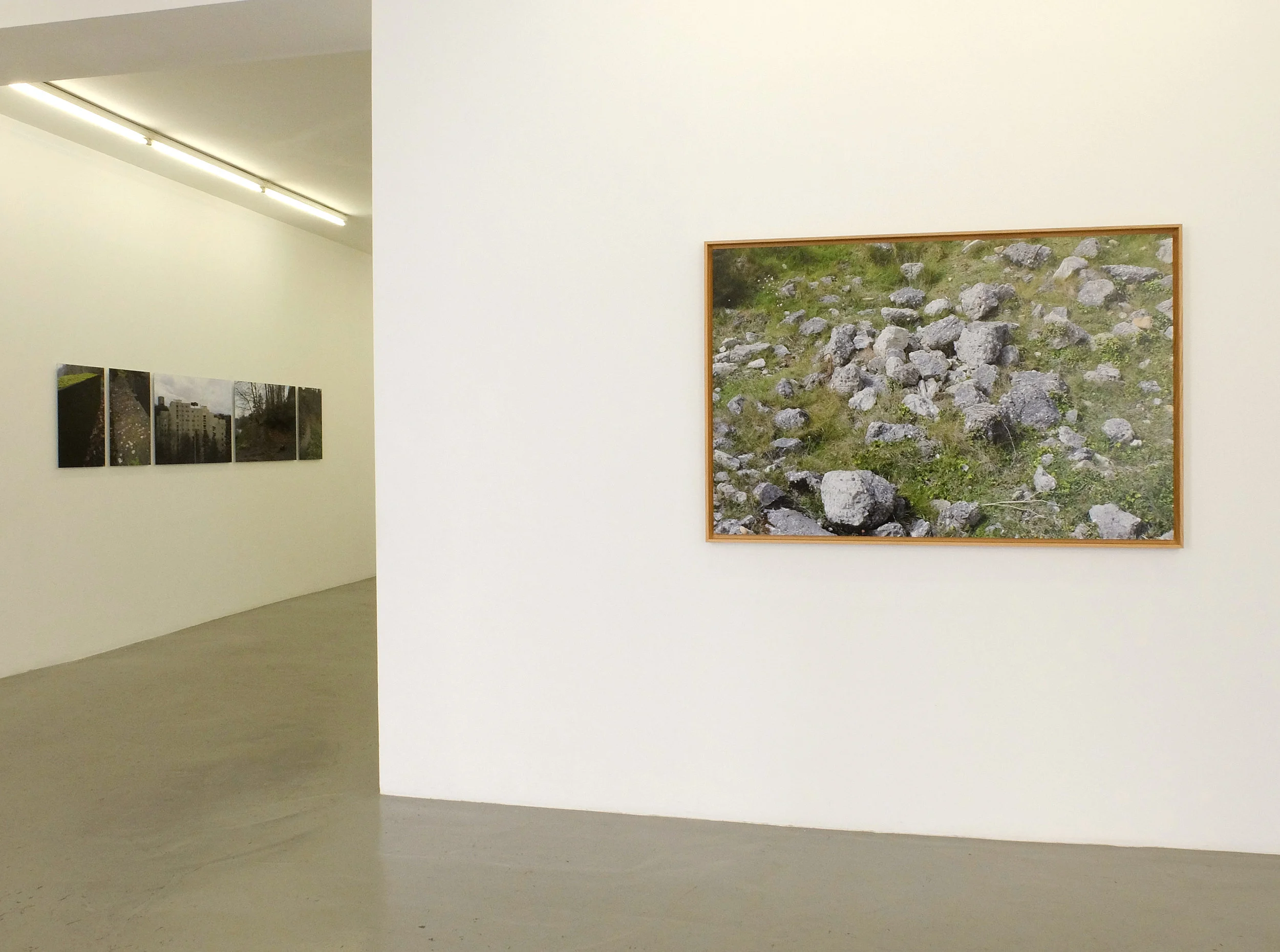 "Paradise Can Wait", galerie Alain Gutharc, Paris, 2017.