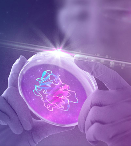 Screen Shot 2025-07-14 at 8.32.08 AM.png