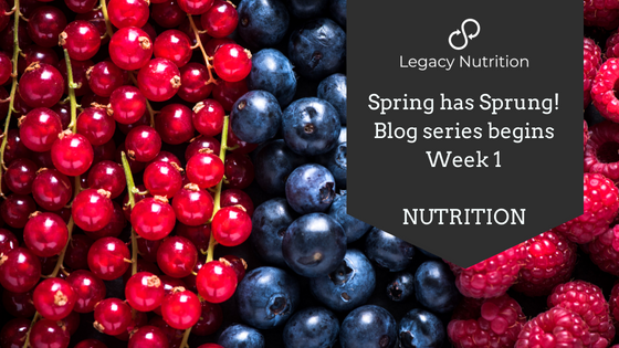 Blog Post 1 Nutrition.png