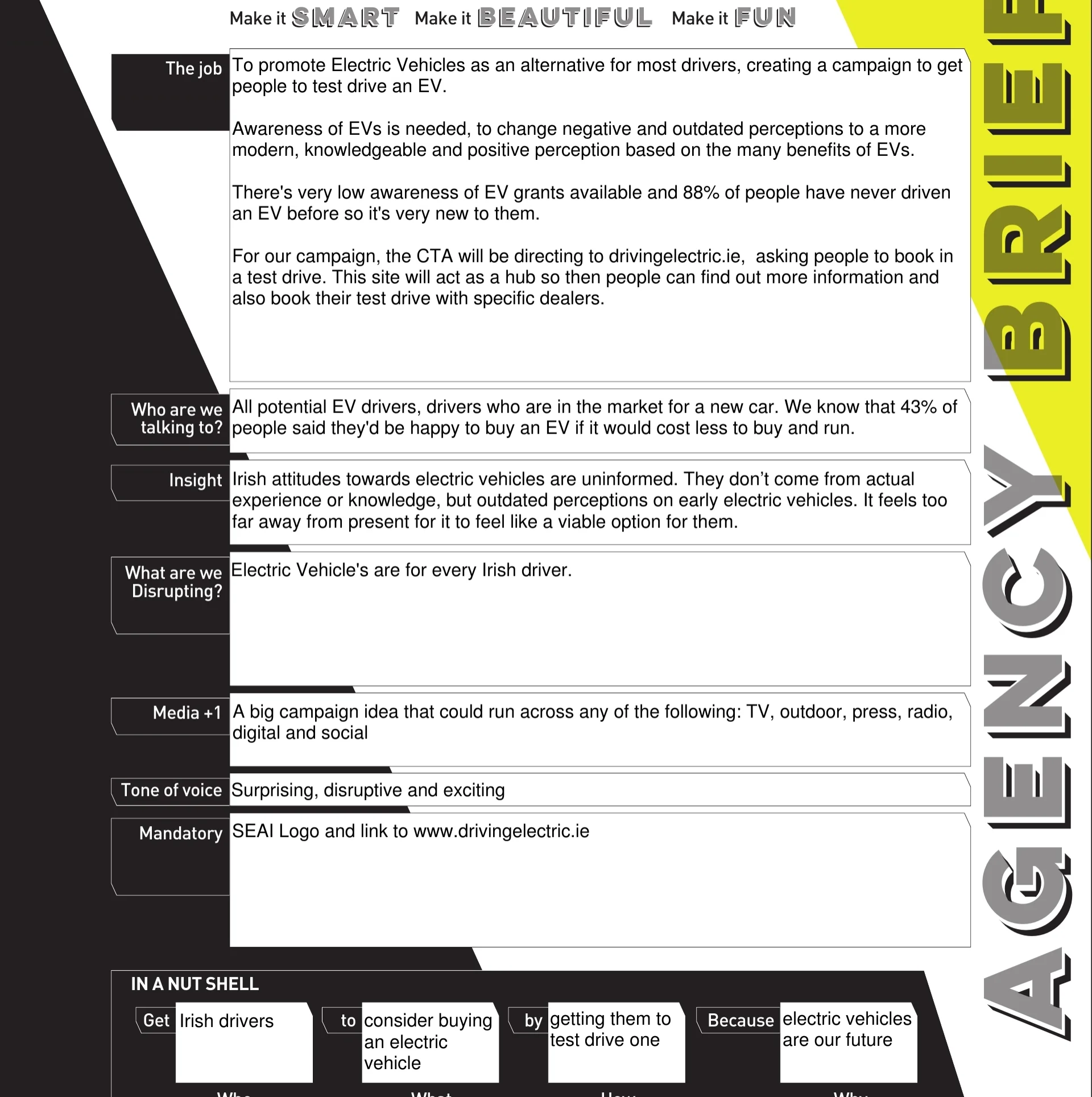 SEAI - Driving Electric Brief