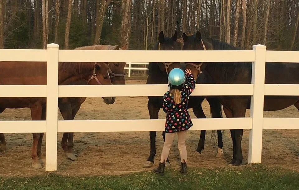 Southerly-Wind-Stables-farm-leroy-ohio-riding-lessons-horse-boarding-equestrian-facility-photo-5.jpg