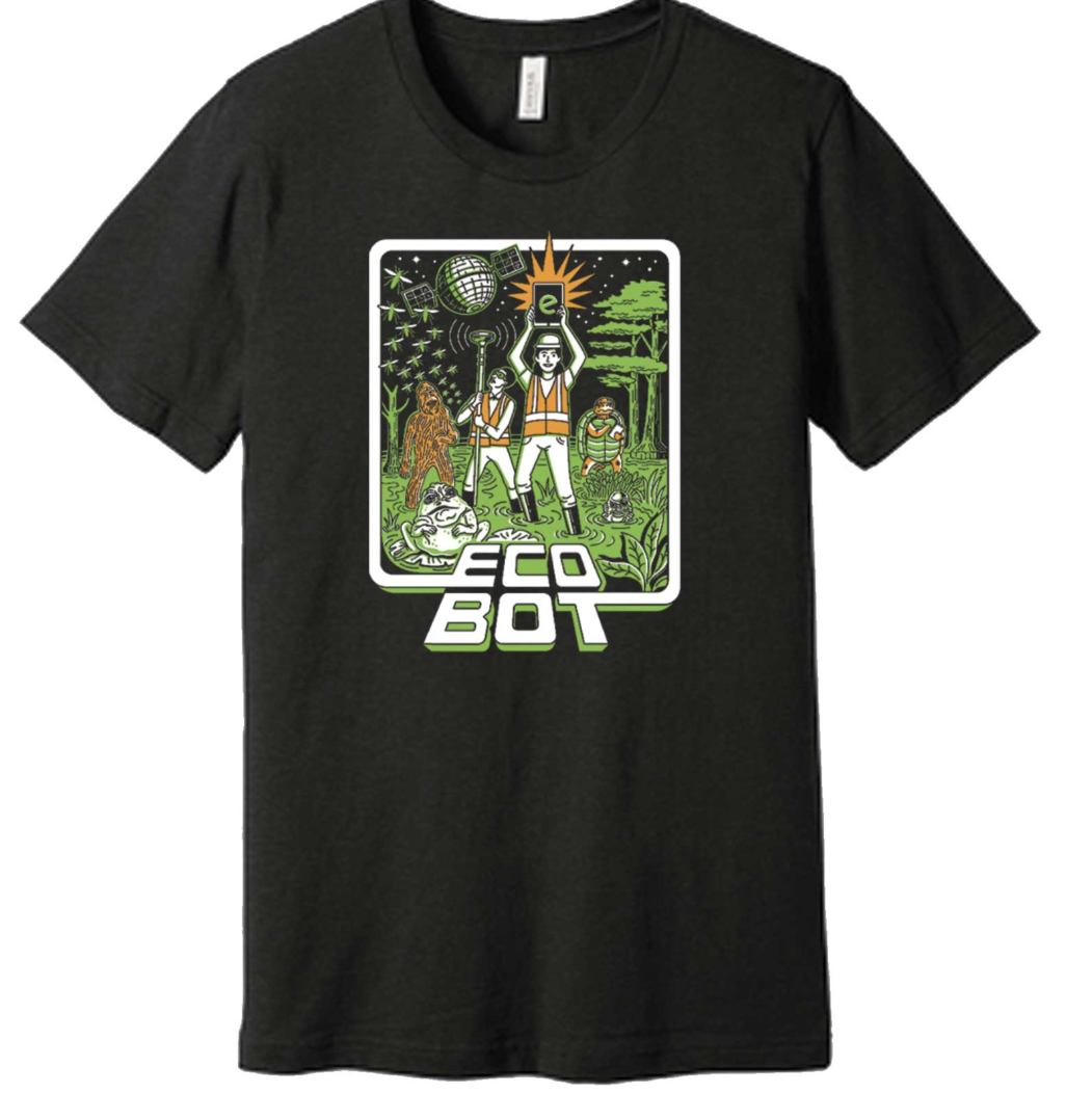 Strategy's Secondary Objective 