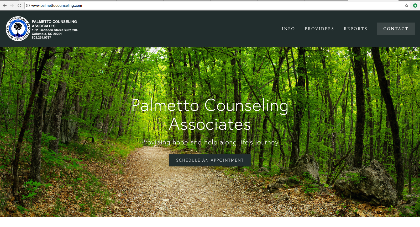 Palmetto Counseling Associates