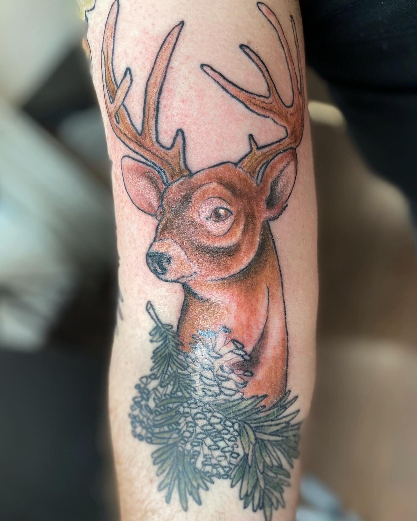 Chipping away at this Ontario flora &amp; fauna piece 🦌 more like this, please! tattoosbyloorin@gmail.com for appointments 
.
.
.
#deer #stag #deertattoo #foresttattoo #wip #toronto #torontotattoos #torontatotattooartist #cabbagetown #cabbagetowntat