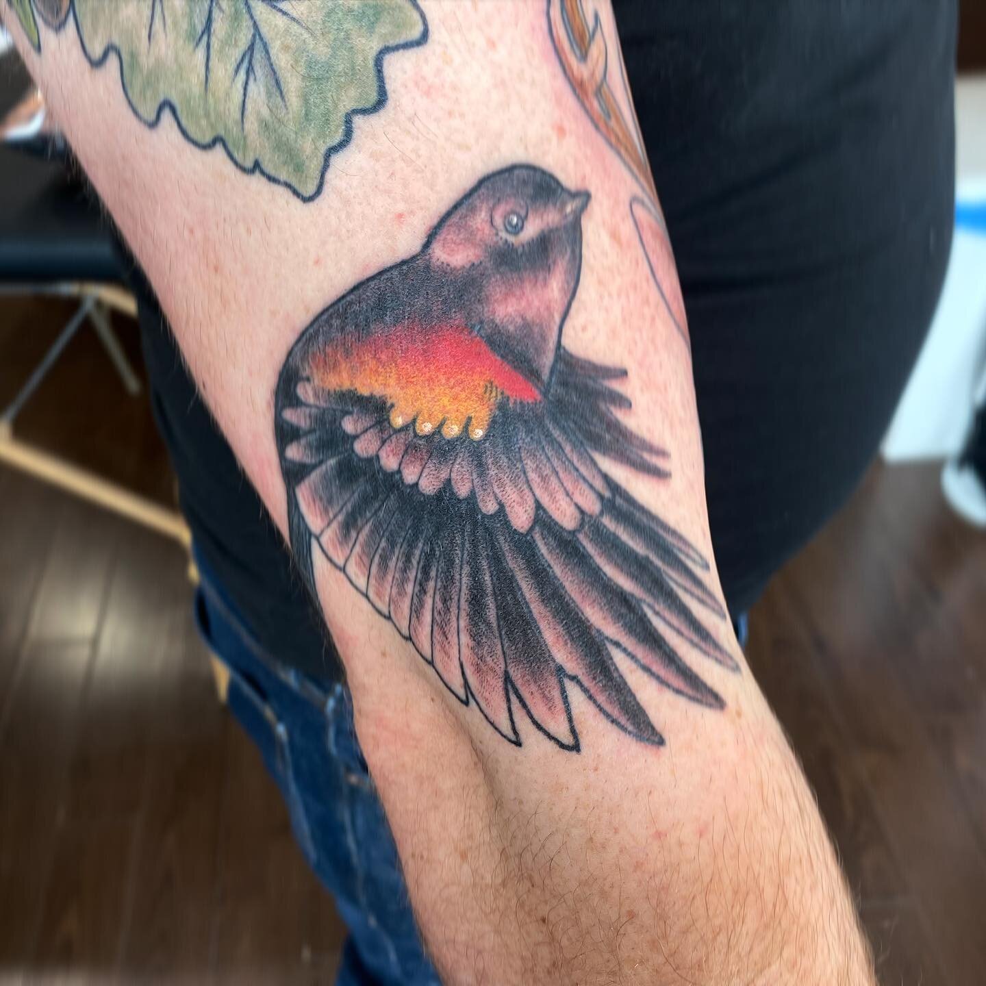 Red winged black bird! Thanks for looking 🐦 tattoosbyloorin@gmail.com for appointments 
.
.
.
#birdtattoo #redwingedblackbird #ontariobirds #birdnerd #vegantattoos