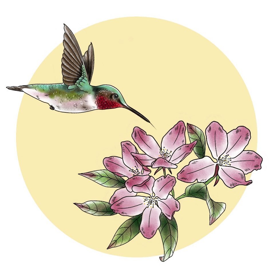 Views from my yard, ruby throated hummingbird that have been all over my crab apple tree. I&rsquo;ve never seen so many at once! 🌸 tattoosbyloorin@gmail.com for appointments 
.
.
.
#upforgrabs #hummingbird #hummingbirdtattoo #availabletattoo #flower