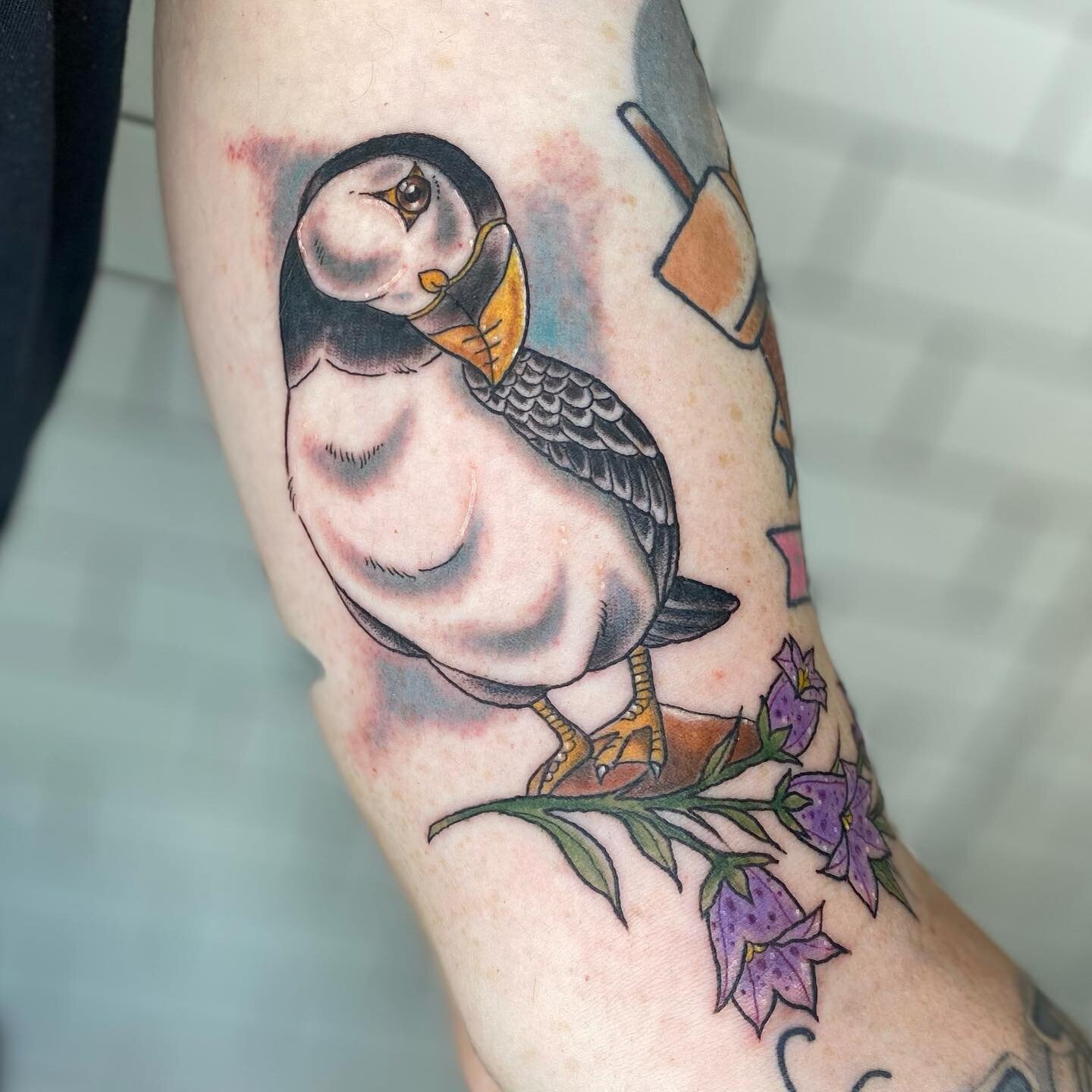 Puffin tattoo today has me extra excited for the @st.johnstattooconvention 🐦 tattoosbyloorin@gmail.com for appointments here or there 
.
.
.
.
#puffin#puffintattoo#newfoundlandtattoo#bluebells#floraltattoo#birdtattoo#vegantattoo#vegantattooartist#ve