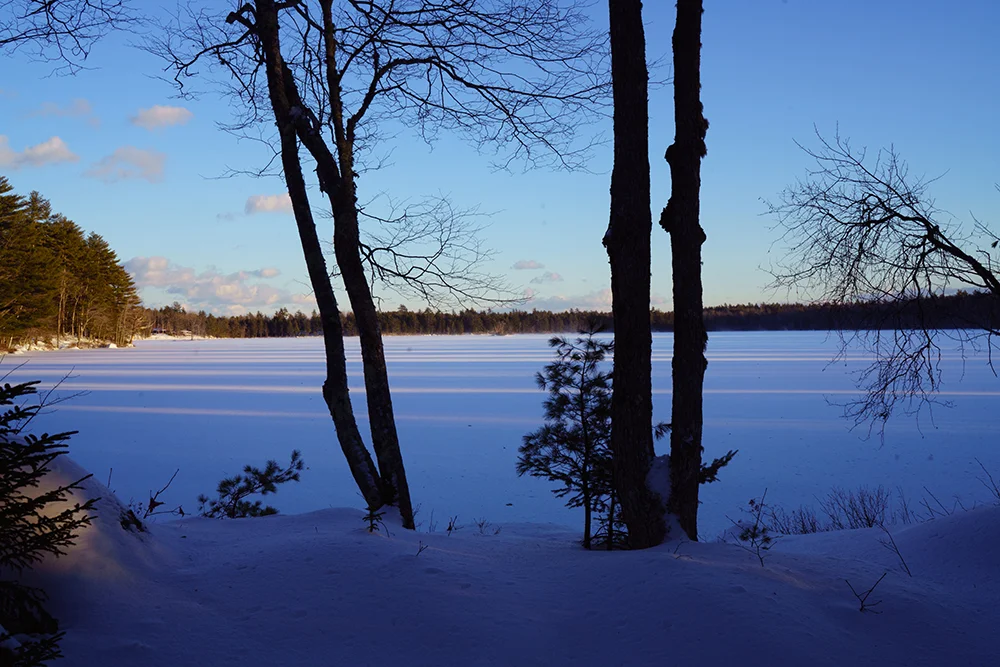 Frozen North January 2018-6874.jpg