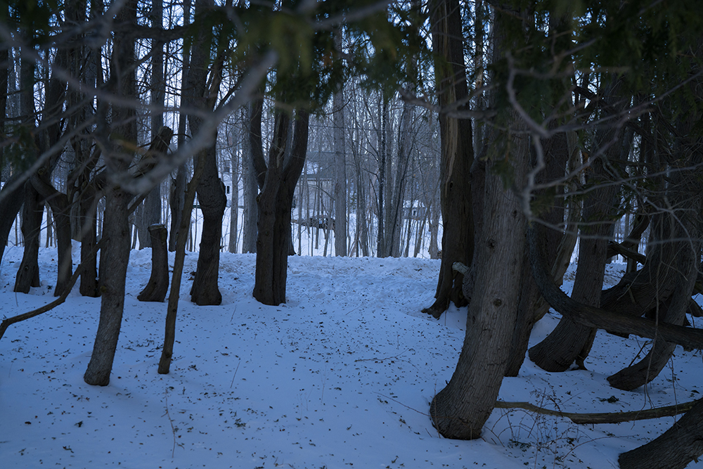 Frozen North January 2018-6670.jpg