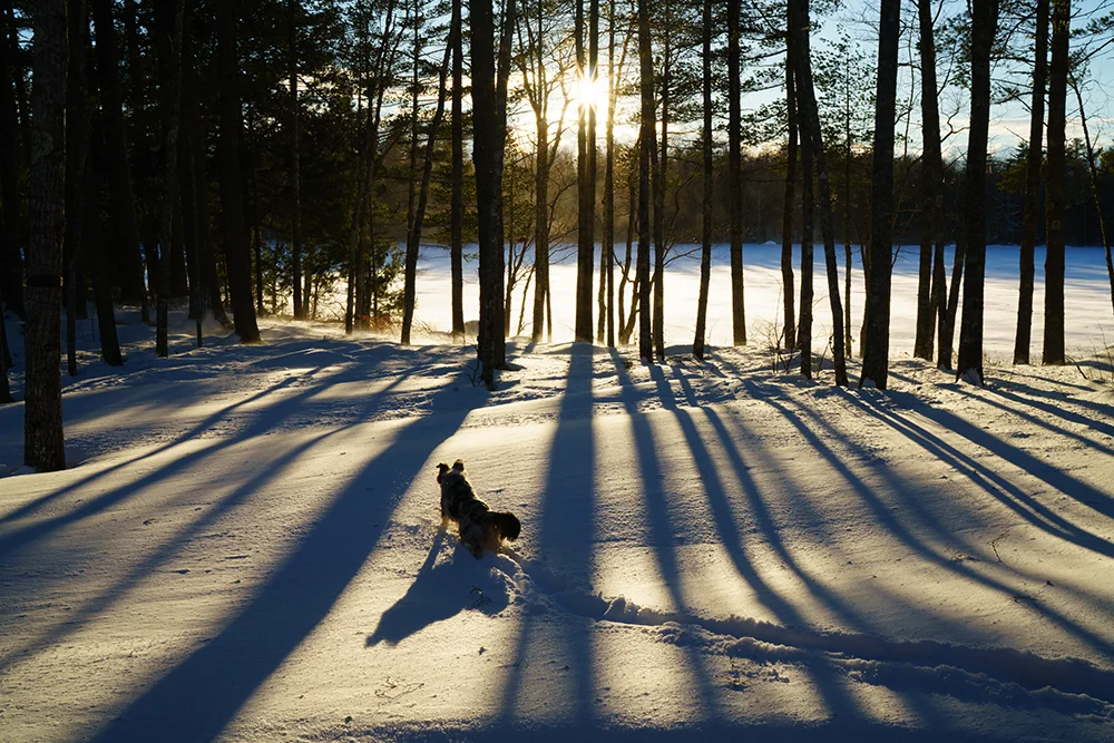 Frozen North January 2018-6748.jpg