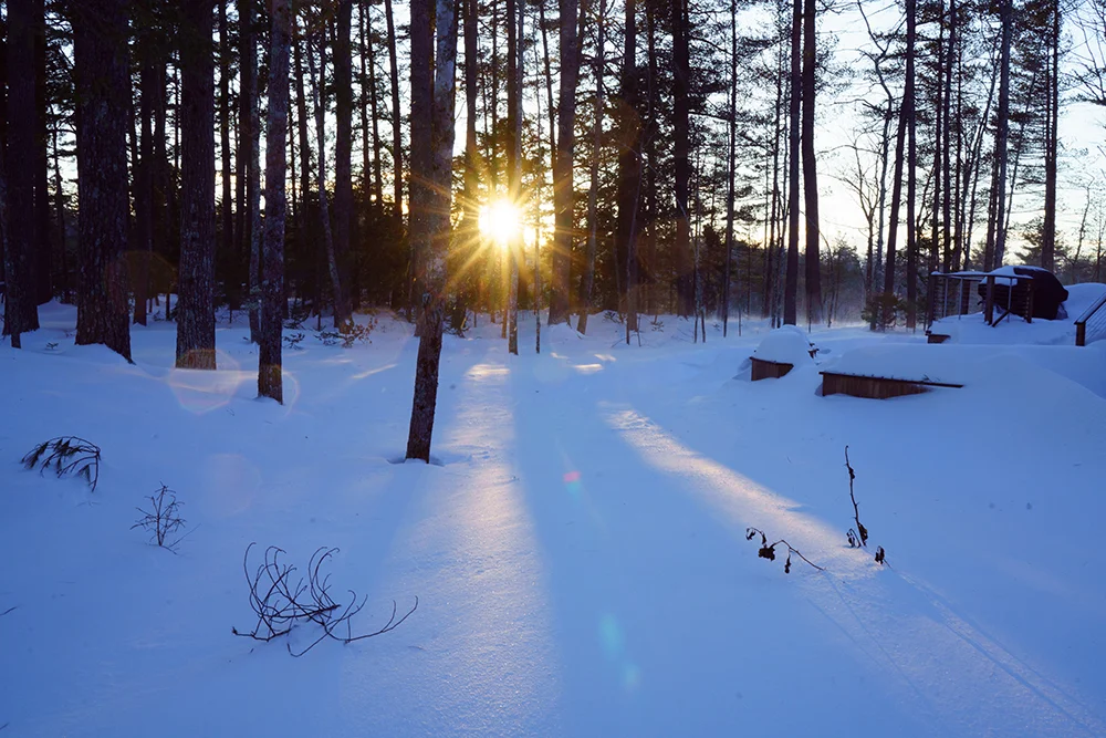 Frozen North January 2018-6886.jpg