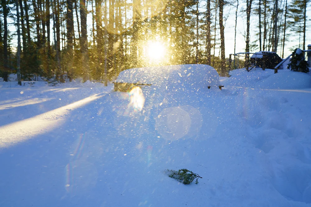 Frozen North January 2018-6863.jpg