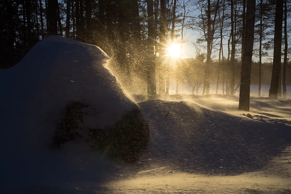 Frozen North January 2018-6818.jpg