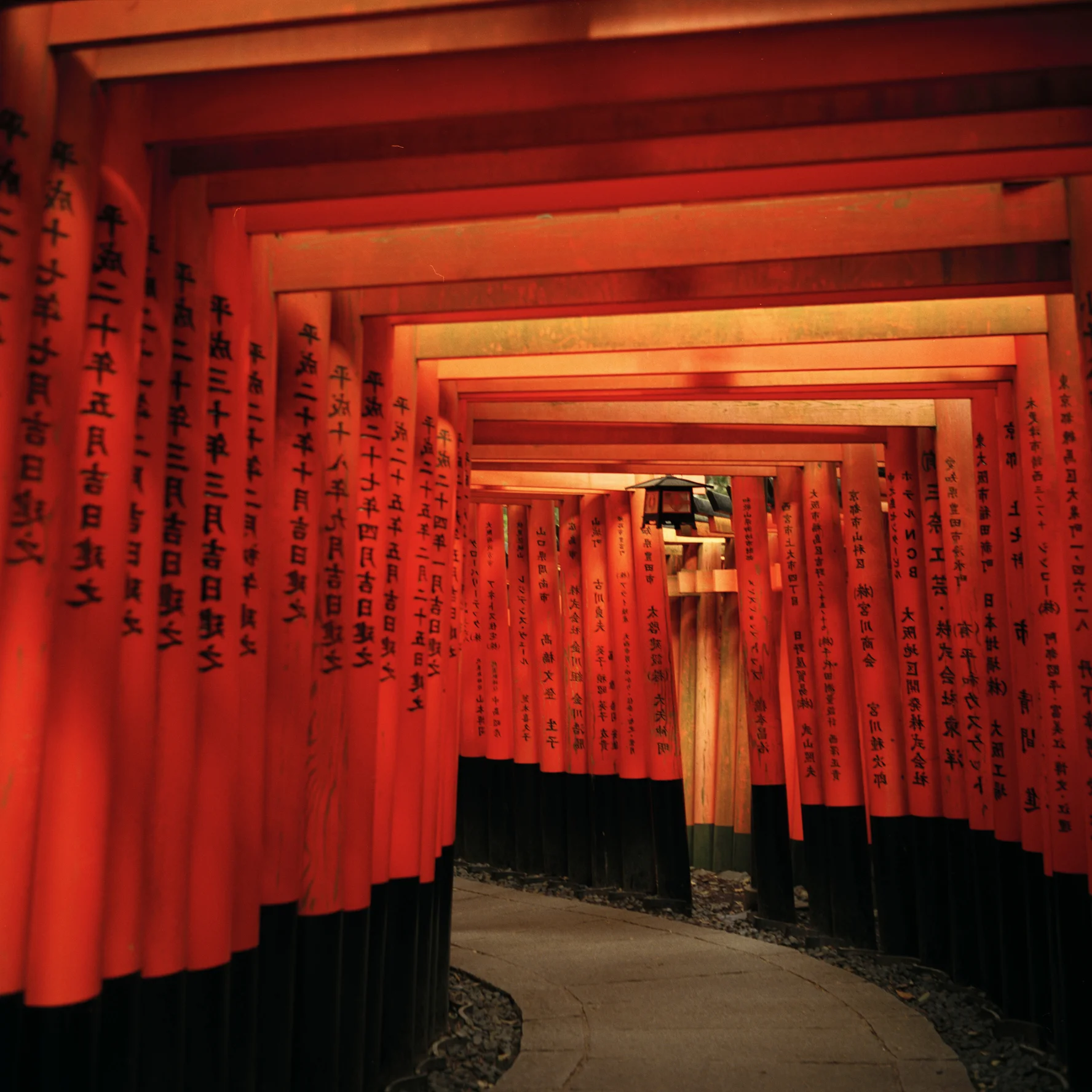 ninajapanphotos_50 copy.jpg