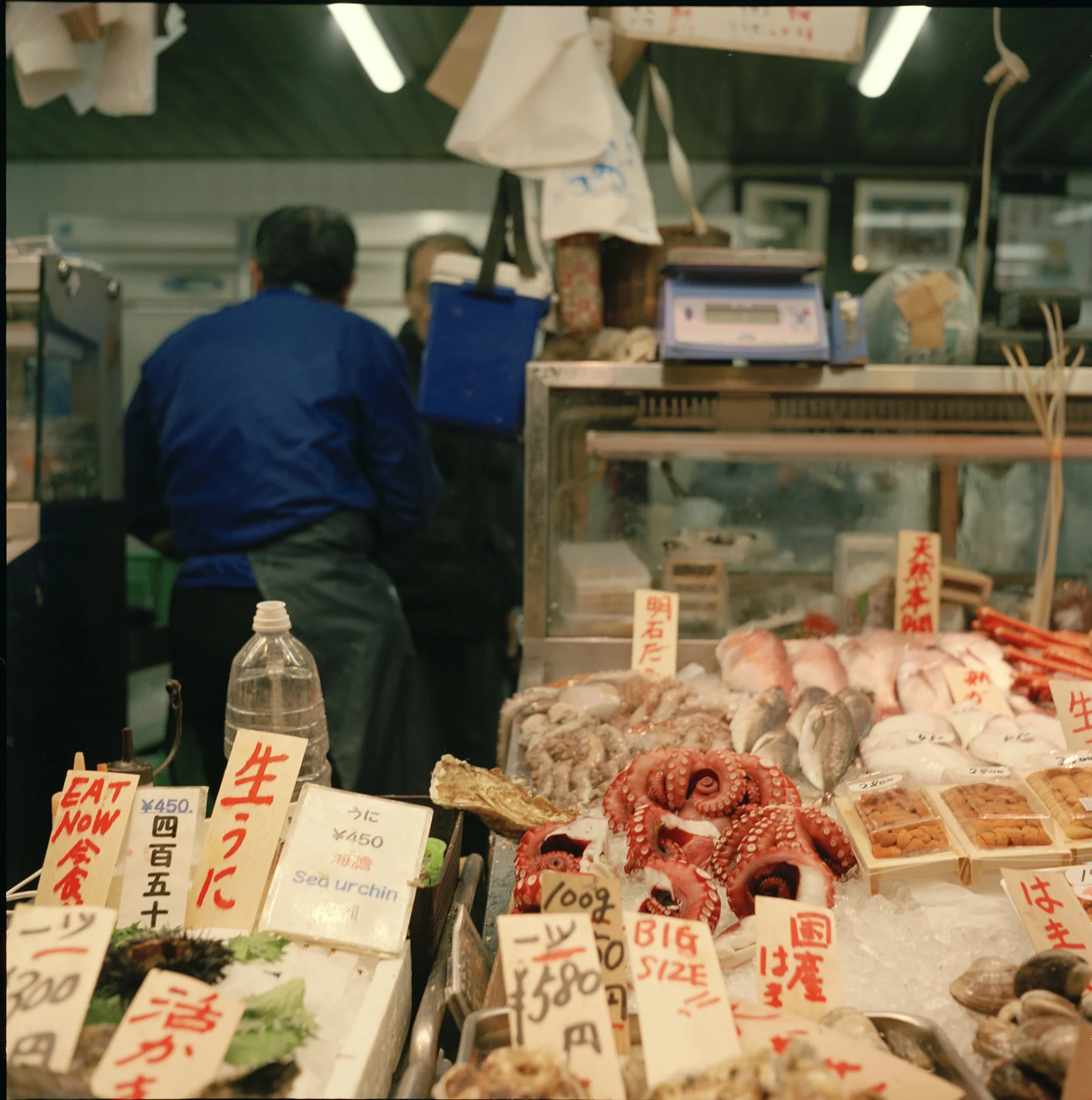 ninajapanphotos_37 copy.jpg