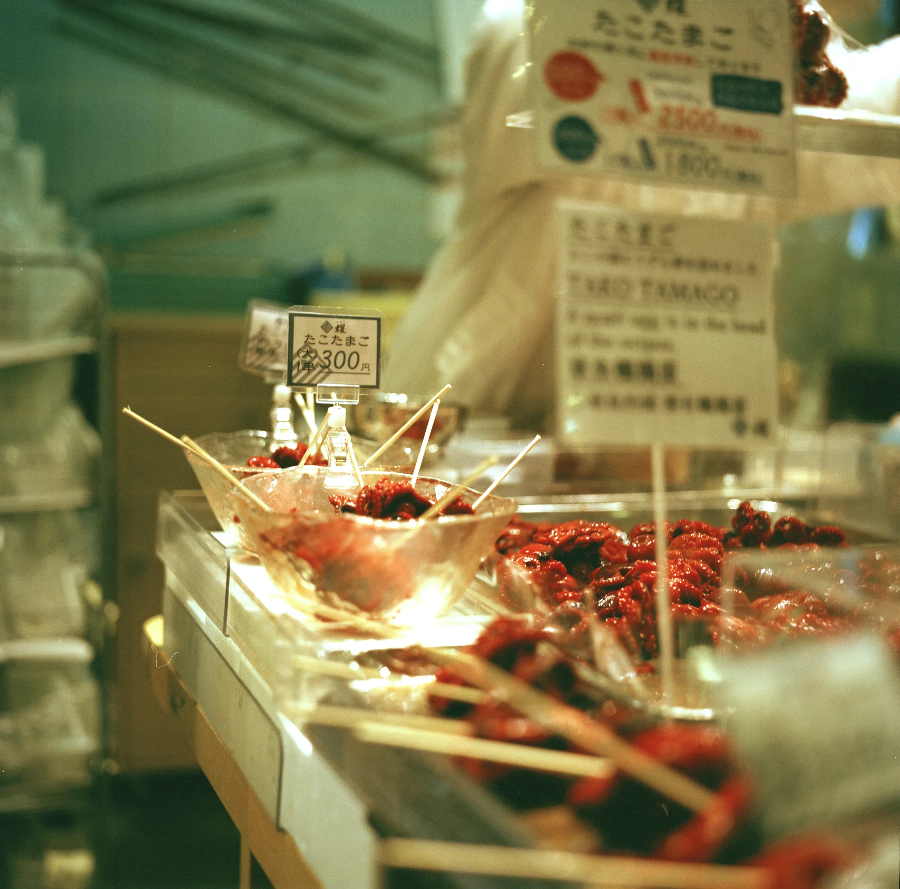 ninajapanphotos_36 copy.jpg