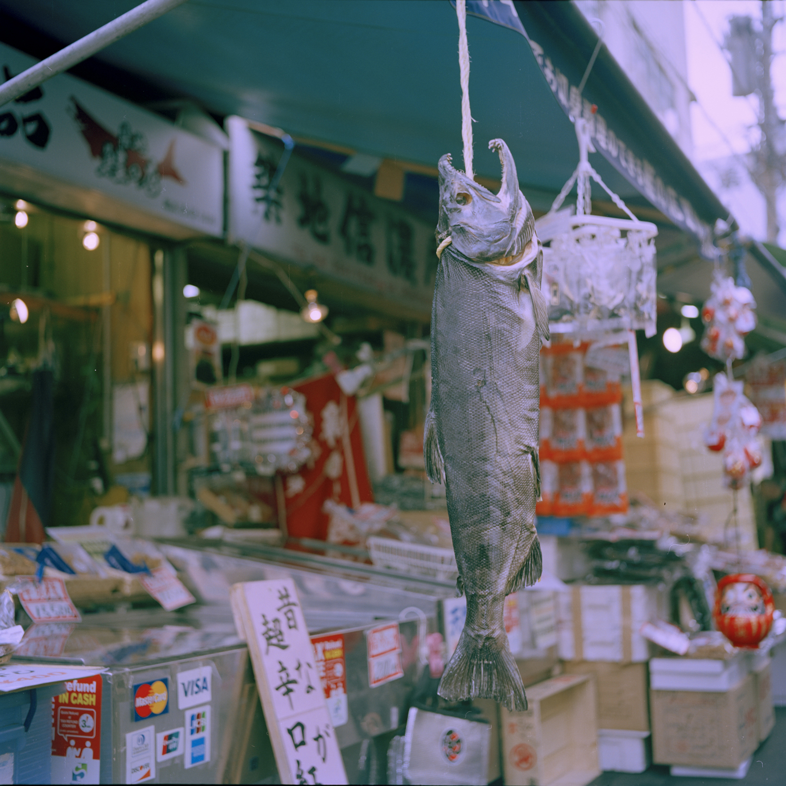 ninajapanphotos_29 copy2.jpg