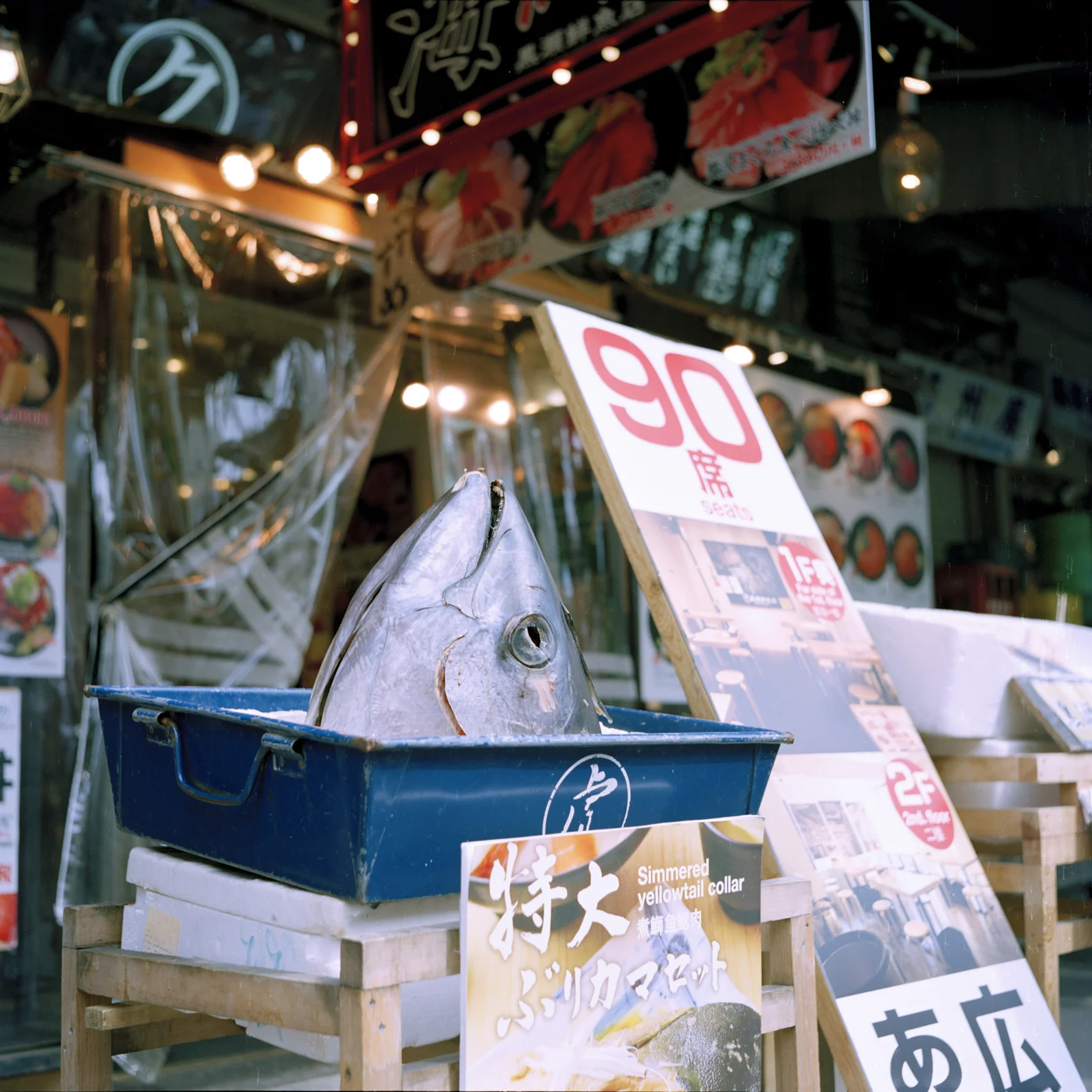 ninajapanphotos_30 copy.jpg