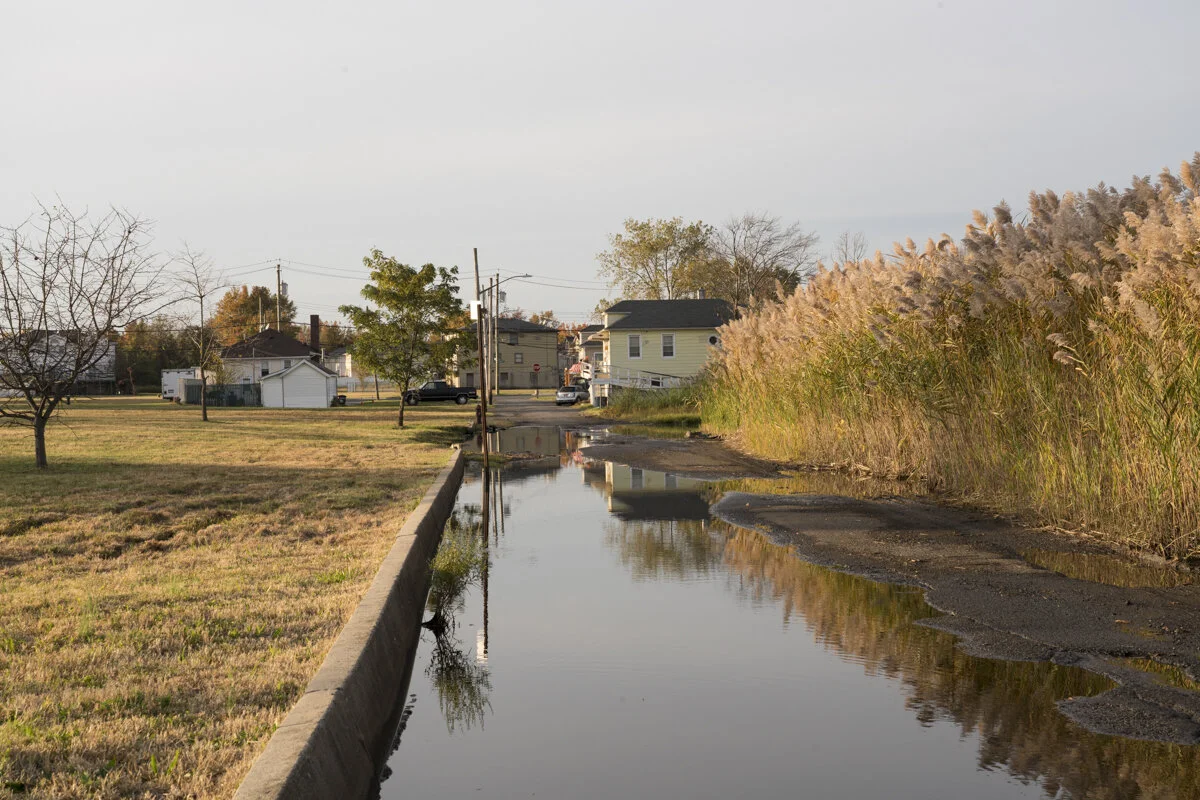 New York Climate-12.jpg