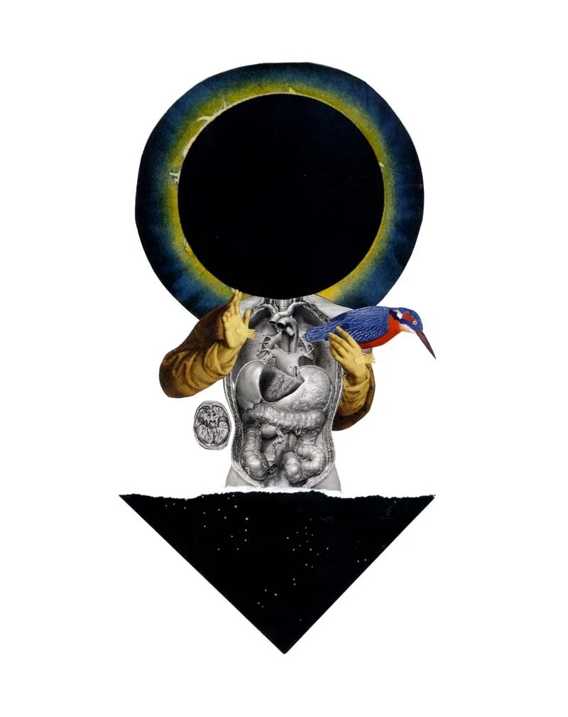SERENE IN UNITY, collage, 2012