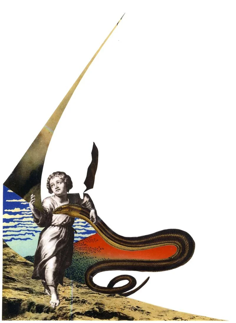 FOLLOW A HERMIT WITHOUT FINDING HIM, collage, 2012
