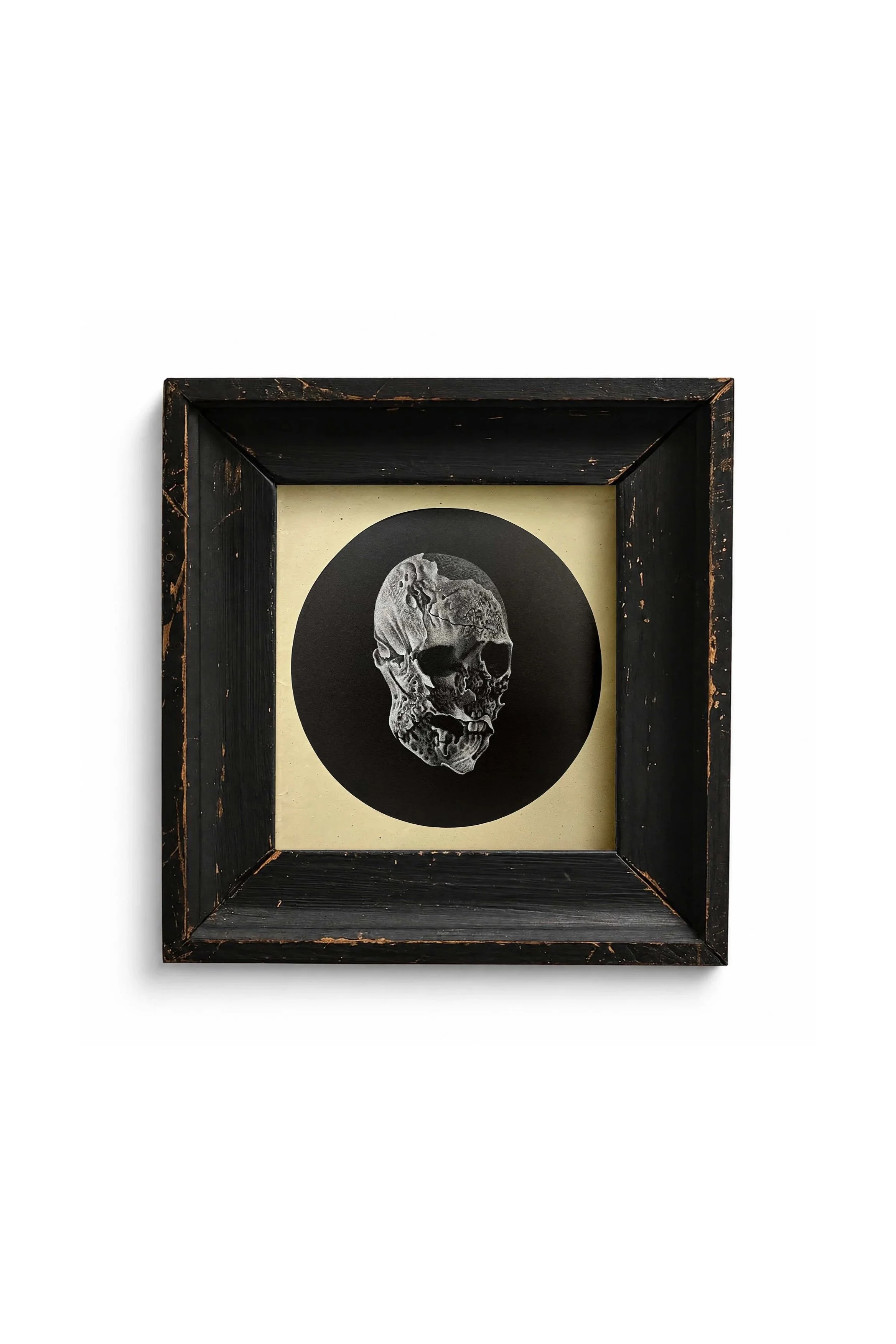 SKULL+FRAMED.jpg