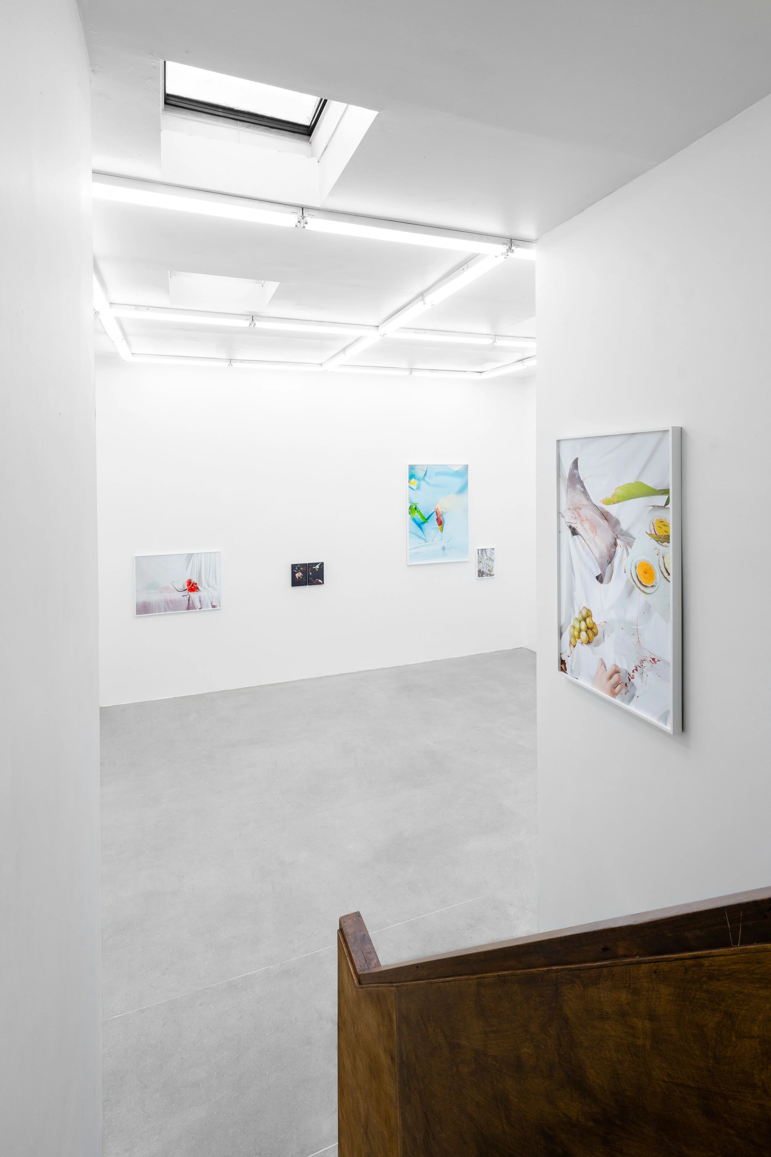Installation View | Offal | Solo Exhibition by Arden Surdam | Image courtesy of Erik Bardin Photography