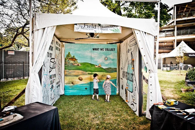 Field Museum Pop Up for Pitchfork Music Festival 2017
