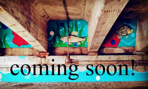 Elgin Riverwalk Bridge Mural - Under Construction!