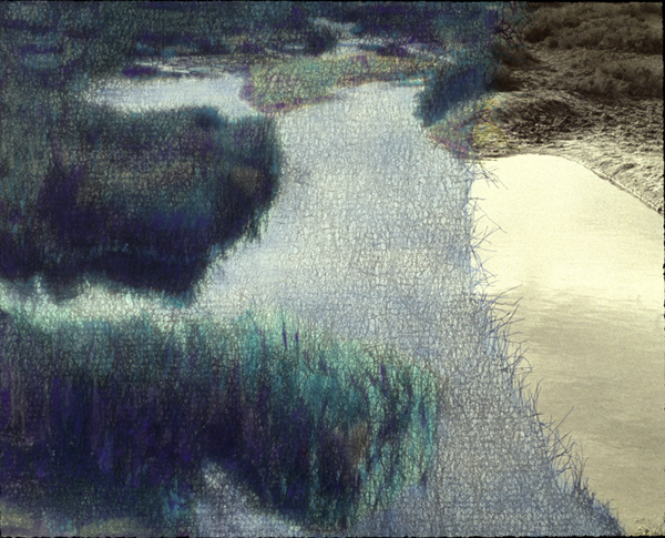 Salt Creek